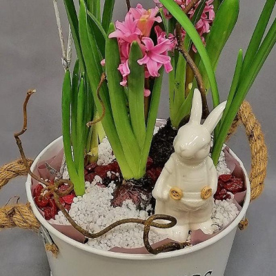 Кашпо с луковичными первоцветами S (нарцисс, гиацинт) 28812