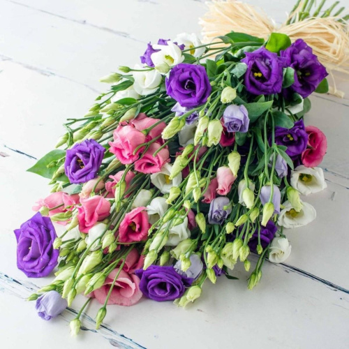 Букет из 15 Эустом (Лизиантус) арт. 7343