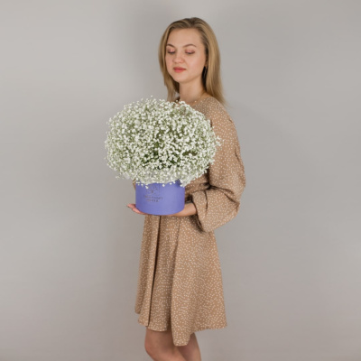 Коробка с гипсофилой белая N 50464